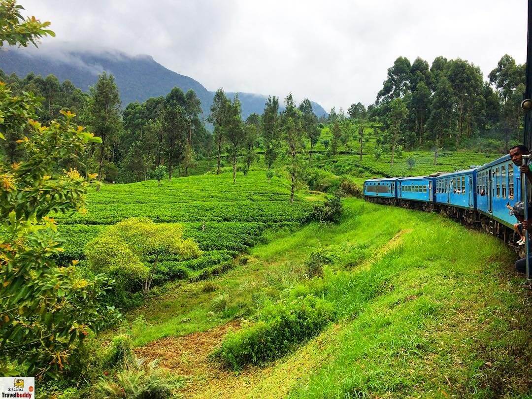 Kandy to Nuwara Eliya by train