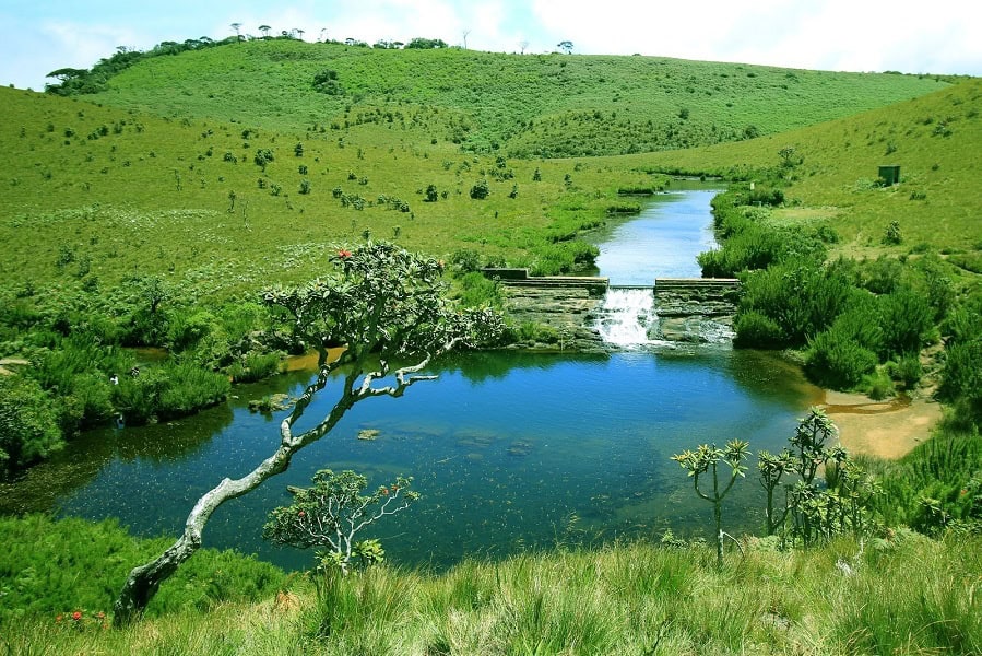 Horton Plains National Park