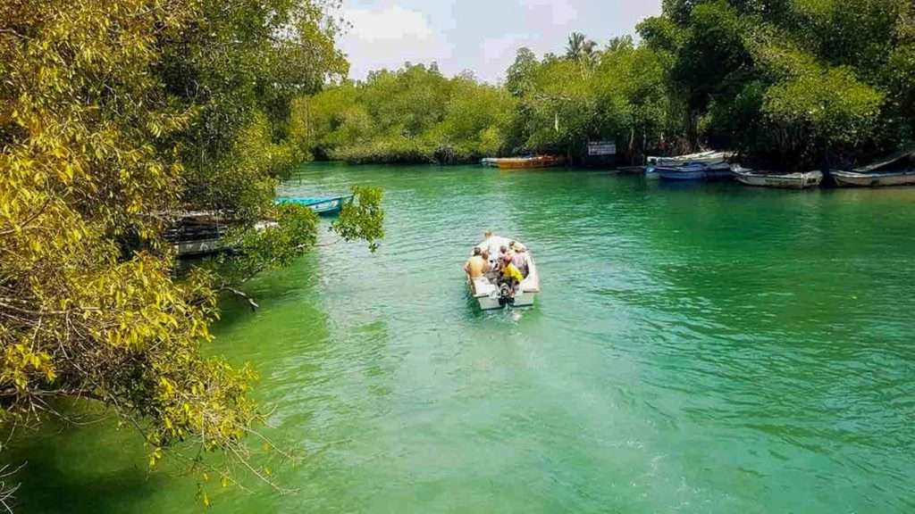 Madu River Safari Bentota 
