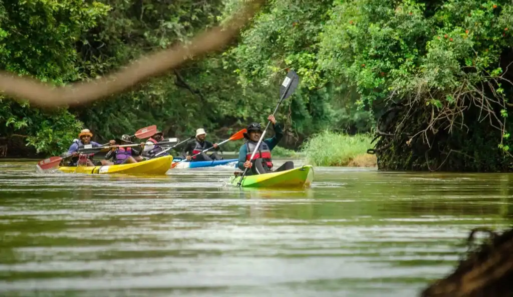 Mahaweli River