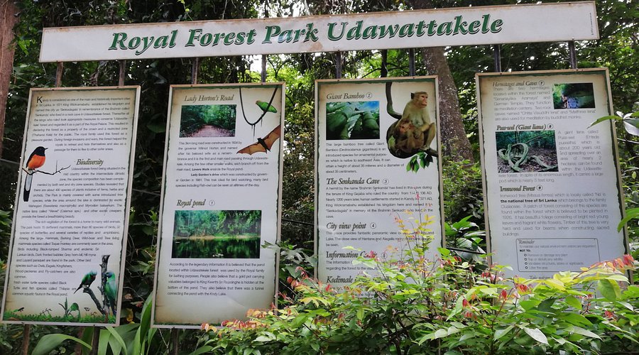 Udawattekele Forest Reserve
