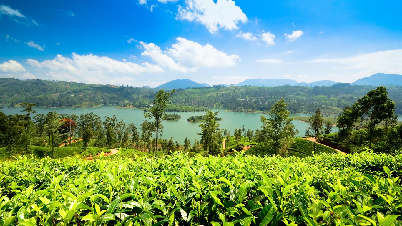 Where to Stay in Nuwara Eliya
