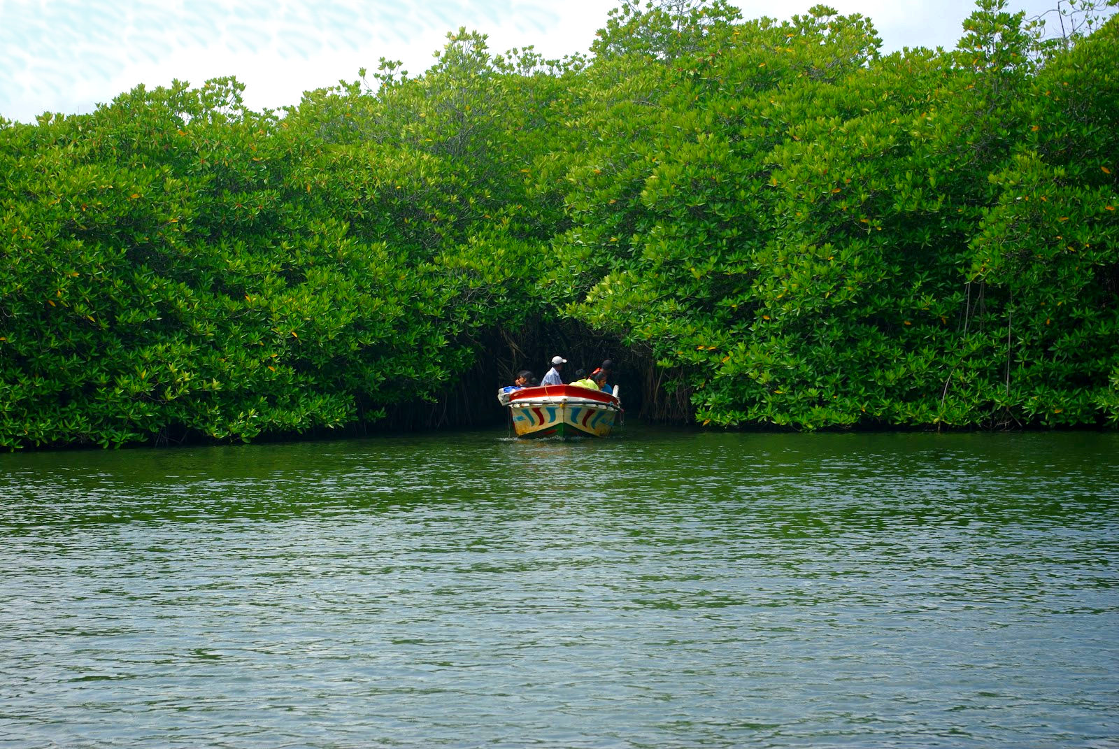 Madu Ganga Boat Safari